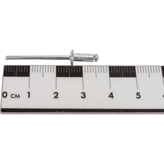 Заклепка Невский Крепеж 3,2x8 (100 шт.)