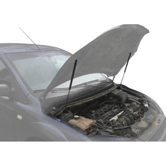 Упоры капота для Ford Focus II 2005-2008 АвтоУпор UFDFOC012