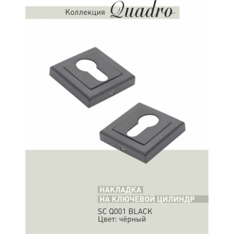 Ключевая накладка под евроцилиндр ADDEN BAU SC Q001