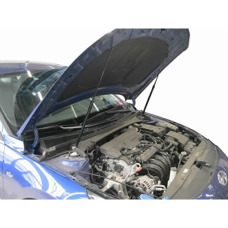 Упоры капота для HYUNDAI Elantra, 2021- Arbori HD.016104