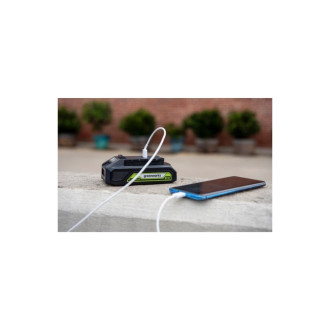 Аккумулятор GreenWorks G24USB2