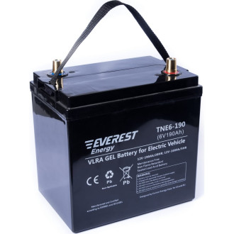 Тяговая аккумуляторная батарея EVEREST Energy TNE 6-190