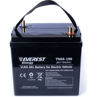 Тяговая аккумуляторная батарея EVEREST Energy TNE 6-190