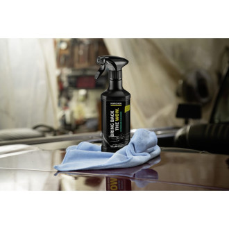 Чистящее средство для салона Karcher 0.5 л