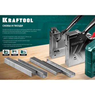 Скобы KRAFTOOL EXPERT тип 53 18 мм (1000 шт.)