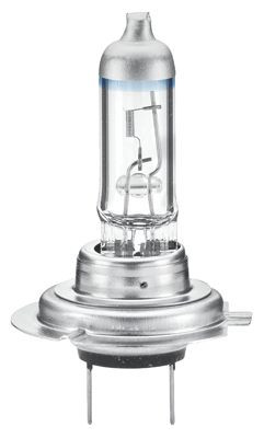 Лампа накаливания Hella 8GH 223 498-031