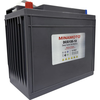 Тяговый моноблок MINAMOTO DCG135-12