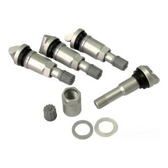 Комплект вентилей под датчик NORM TPMS-11