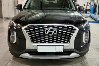 Дефлектор капота HYUNDAI Palisade, 2019- Sim NLD.SHYPAL1912