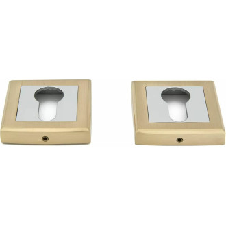 Накладка на цилиндр Palladium CS ET SG/CP