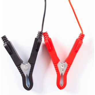 Инверторное зарядное устройство REDVERG RD-IC23N