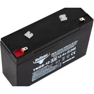 Тяговый аккумулятор Rutrike TNG6-12 (6V12A/H C20)