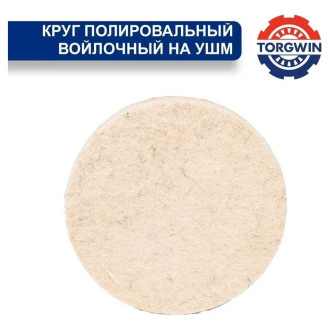 Полировальный диск TORGWIN T588584