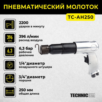 Пневматический молоток TECHNICOM TC-AH250