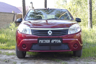 Защитная сетка решетки переднего бампера для Renault Sandero 2009-2013, шагрень / Рено Сандеро