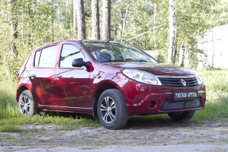 Защитная сетка решетки переднего бампера для Renault Sandero 2009-2013, шагрень / Рено Сандеро