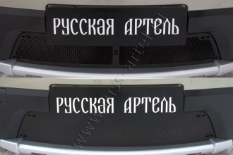 Защитная сетка и зимняя заглушка решетки переднего бампера для Renault Sandero Stepway 2009-2013, шагрень / Рено Сандеро