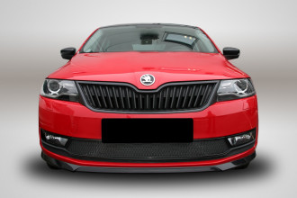 Сетка на бампер внешняя для SKODA Rapid 2017-2020, черн., 10 мм / Шкода Рапид