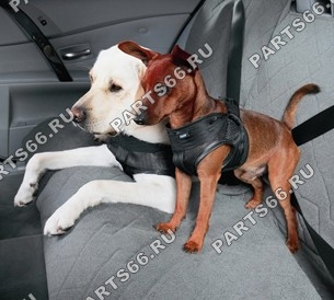Транспортировочная привязь для собак