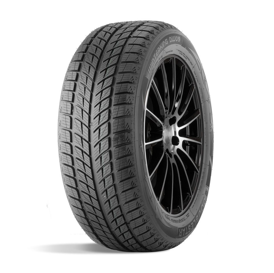 ДаблСтар 275/40/20 V 106 DW09