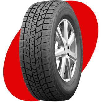 RW501 R19 245/45 102H XL