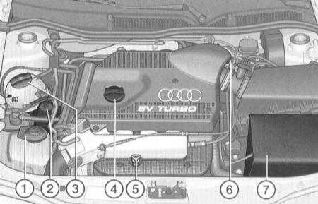  График текущего обслуживания Audi A3