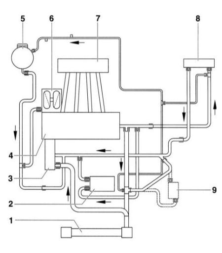  Система охлаждения двигателя Audi A3