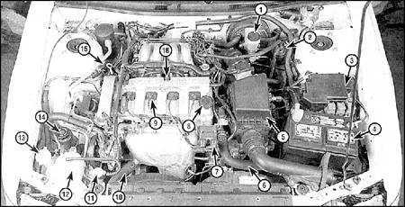  График технического обслуживания Ford Probe, Mazda 626 и MX-6 Mazda 626
