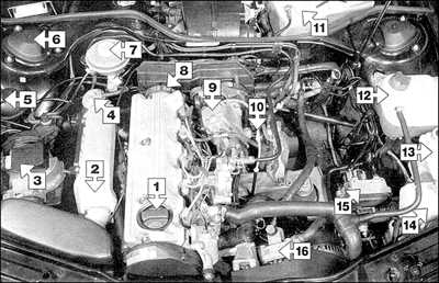  Модели с дизельными двигателями Audi A6