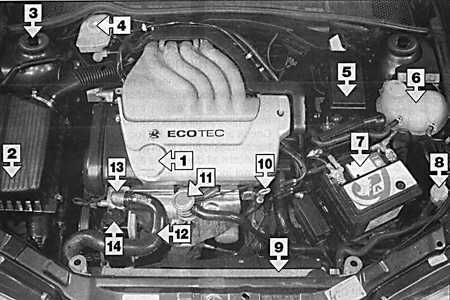  Техническое обслуживание бензиновых двигателей Opel Vectra B