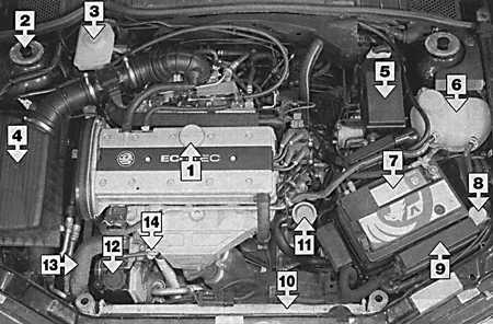  Техническое обслуживание бензиновых двигателей Opel Vectra B