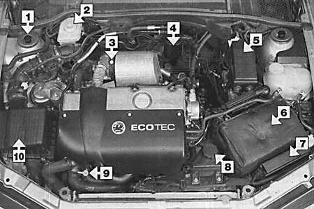 Техническое обслуживание дизельных двигателей Opel Vectra B