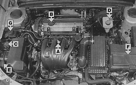 Ремонт Peugeot 406 в Гомеле