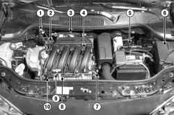 Расположение элементов системы впрыска в подкапотном пространстве автомобиля Megane II с двигателем K4J