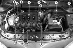 Расположение элементов системы впрыска в подкапотном пространстве автомобиля Megane II с двигателем K4М