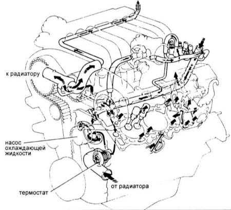  Системы охлаждения двигателя, отопления салона и кондиционирования   воздуха Toyota Land Cruiser